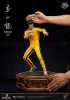 Bruce Lee Tribute (50th Anniversary) 1/4 Superb Scale Statue - Thumbnail (7)