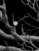 FOUNTAIN GUARD OF THE WHITE TREE 1/6 SCALE STATUE - Thumbnail (7)