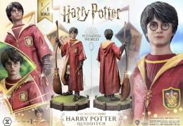 Harry Potter Harry Potter favorite Quidditch Limited Edition Regular Version