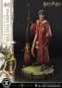 Harry Potter Harry Potter favorite Quidditch Limited Edition Regular Version - Thumbnail (2)