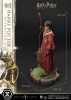 Harry Potter Harry Potter favorite Quidditch Limited Edition Regular Version - Thumbnail (3)