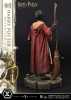 Harry Potter Harry Potter favorite Quidditch Limited Edition Regular Version - Thumbnail (5)