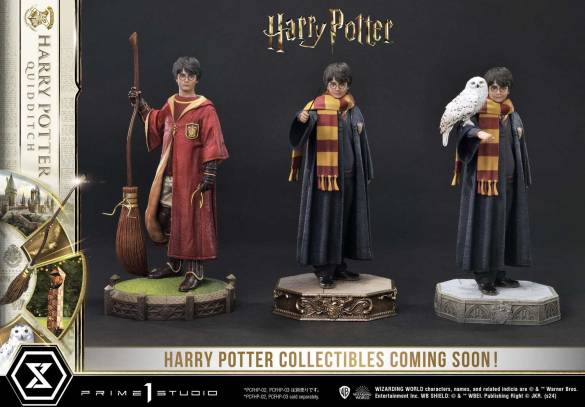 Harry Potter Harry Potter favorite Quidditch Limited Edition Regular Version - 6