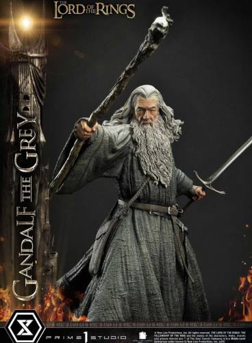 The Lord of the Rings (Film) Gandalf the Grey - 9